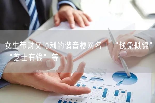 女生带财又顺利的谐音梗网名｜“钱兔似锦”“芝士有钱”等